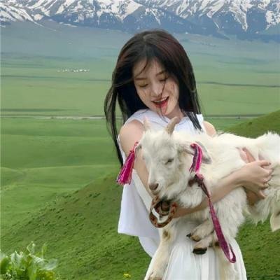 悲兮魔兽 在线观看